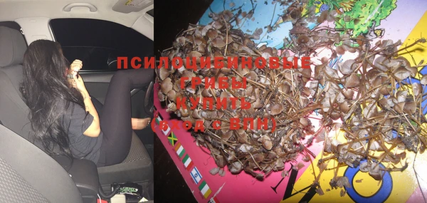 спайс Пестово