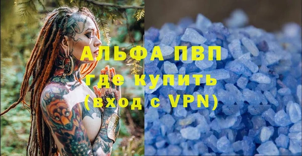 шишки Пересвет