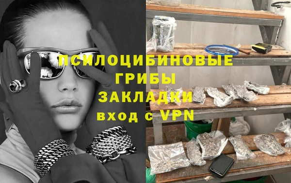 шишки Пересвет