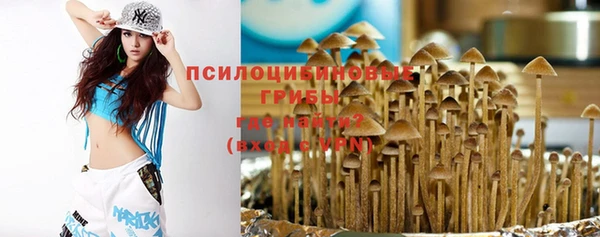 гидра Осинники