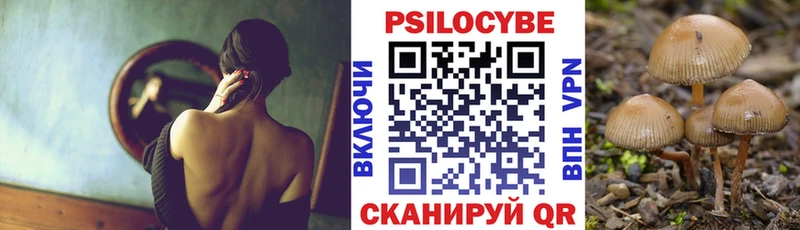 что такое наркотик  Куровское  Галлюциногенные грибы Cubensis 